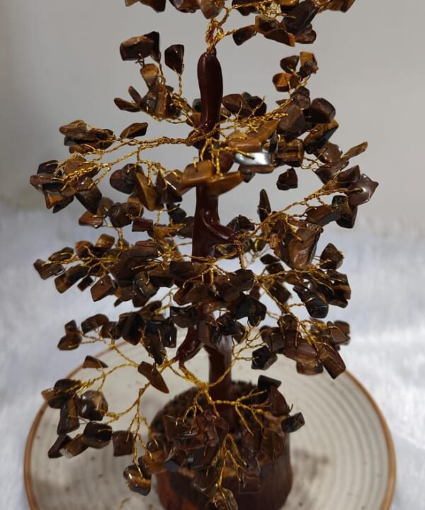 Tiger Eye Tree
