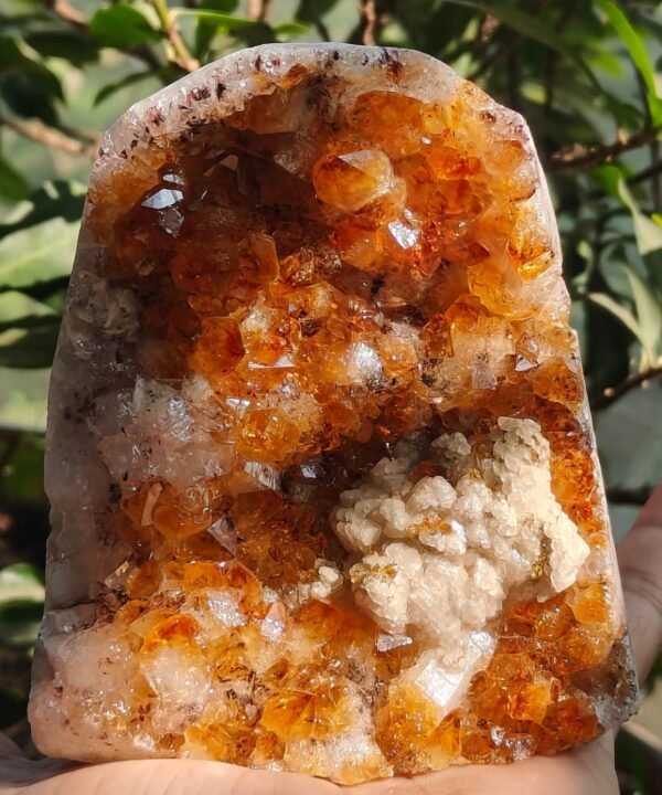 Citrine Geode Honey Colour (Weight 801 Gram) | Wealth & Positivity
